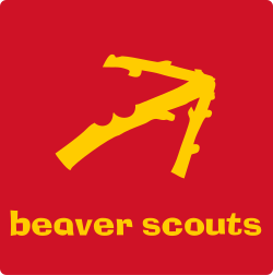 Beavers